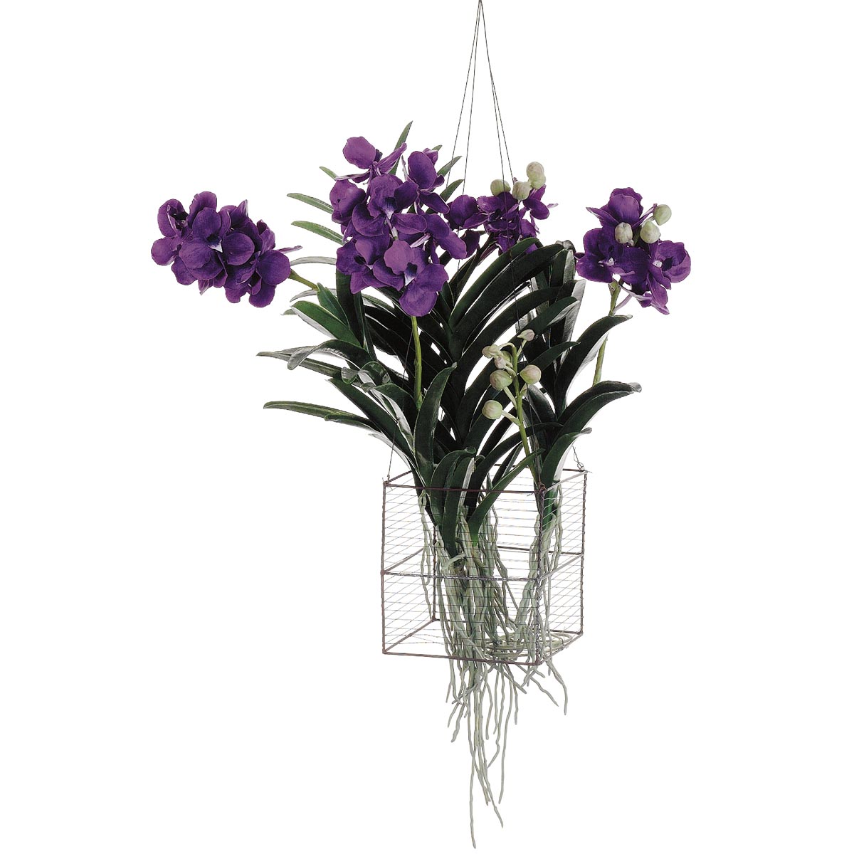 30 inch Vanda Orchid Hanging Plant in Wire Basket LHO298VI