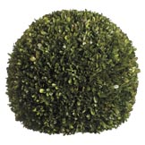 17 inch Preserved Boxwood Ball