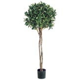 4 foot Bay Leaf Topiary with Braided Trunk: Limited UV (set of 2)