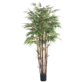 5 foot Natural Trunk Bamboo Tree: Potted (set of 2)