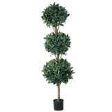 5 foot Triple Ball Sweet Bay Topiary: Limited UV
