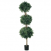 5 foot Triple Ball Sweet Bay Topiary: Limited UV