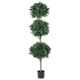 6 foot Triple Ball Sweet Bay Topiary: Limited UV