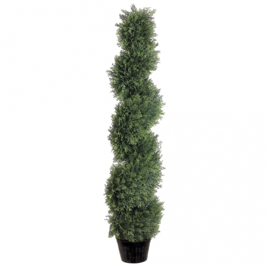 4 foot Cedar Spiral Topiary: Potted