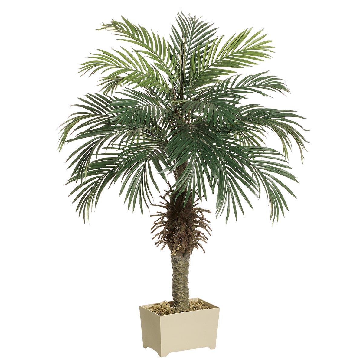 Decorative Plant Pots Outdoor