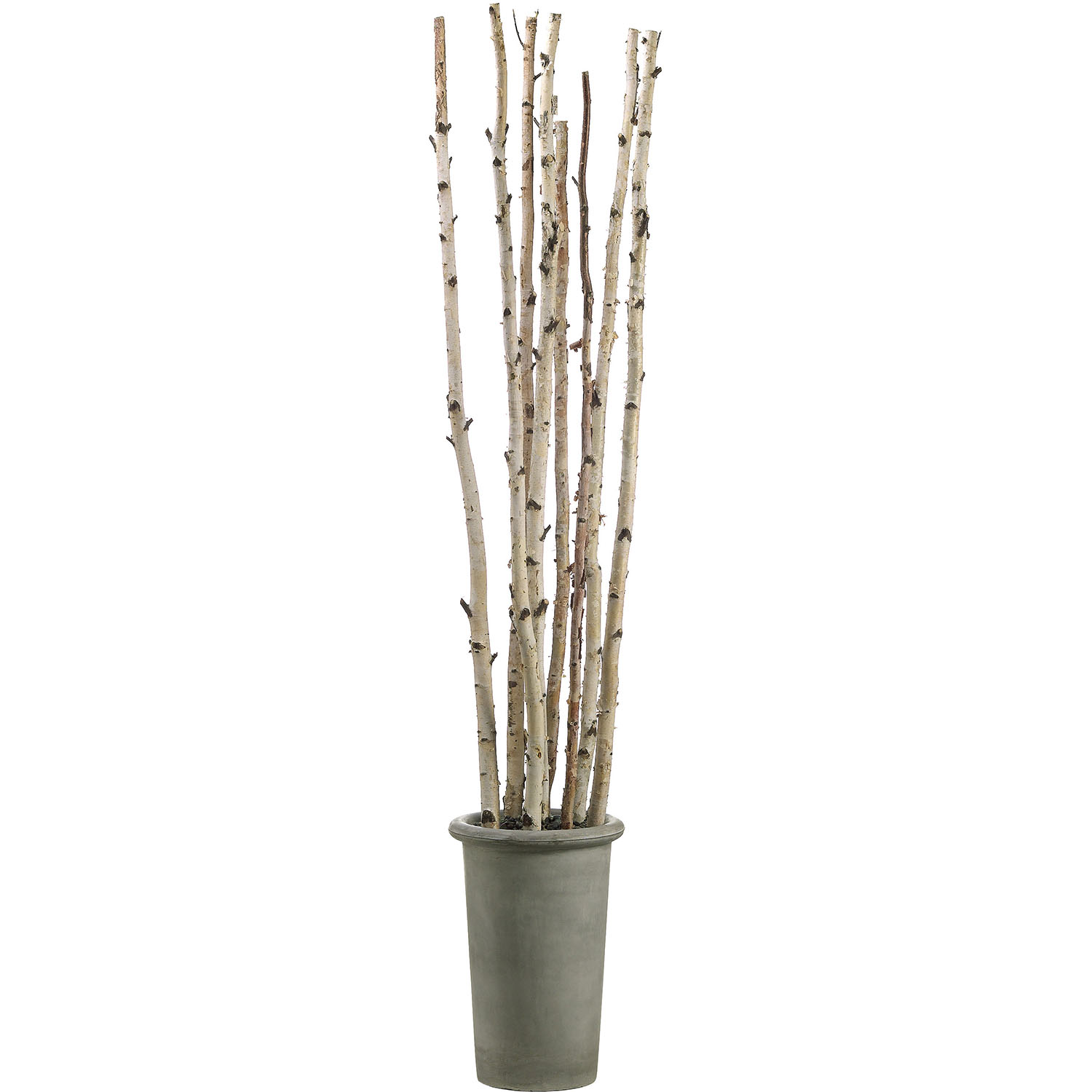 8 foot Artificial Birch Poles in Fiber Cement Container