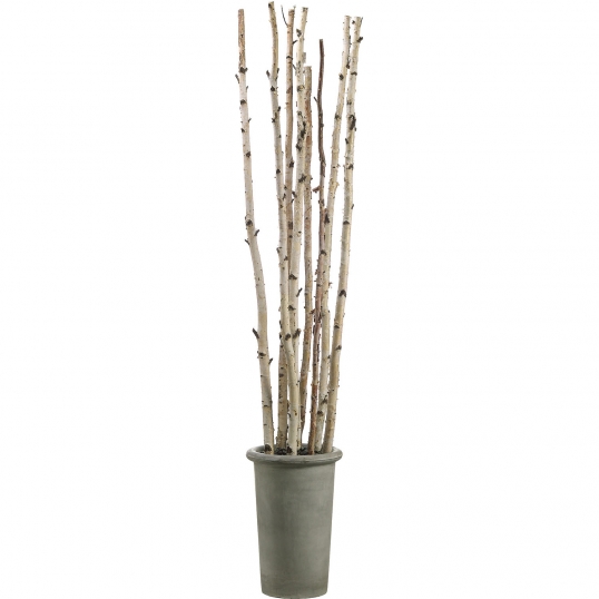 8 foot Artificial Birch Poles in Fiber Cement Container