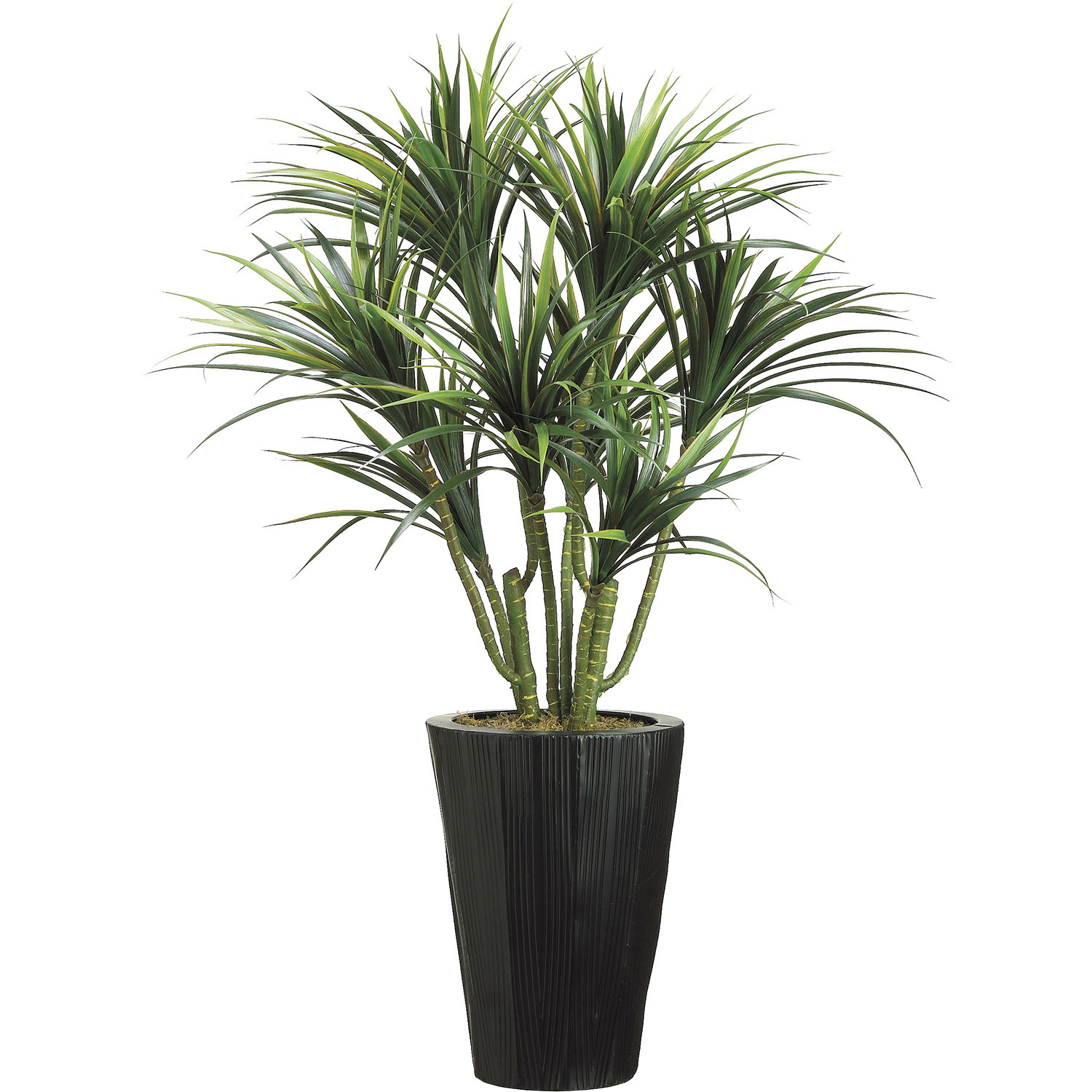 4.5 Foot Artificial Dracaena Plant In Metal Container