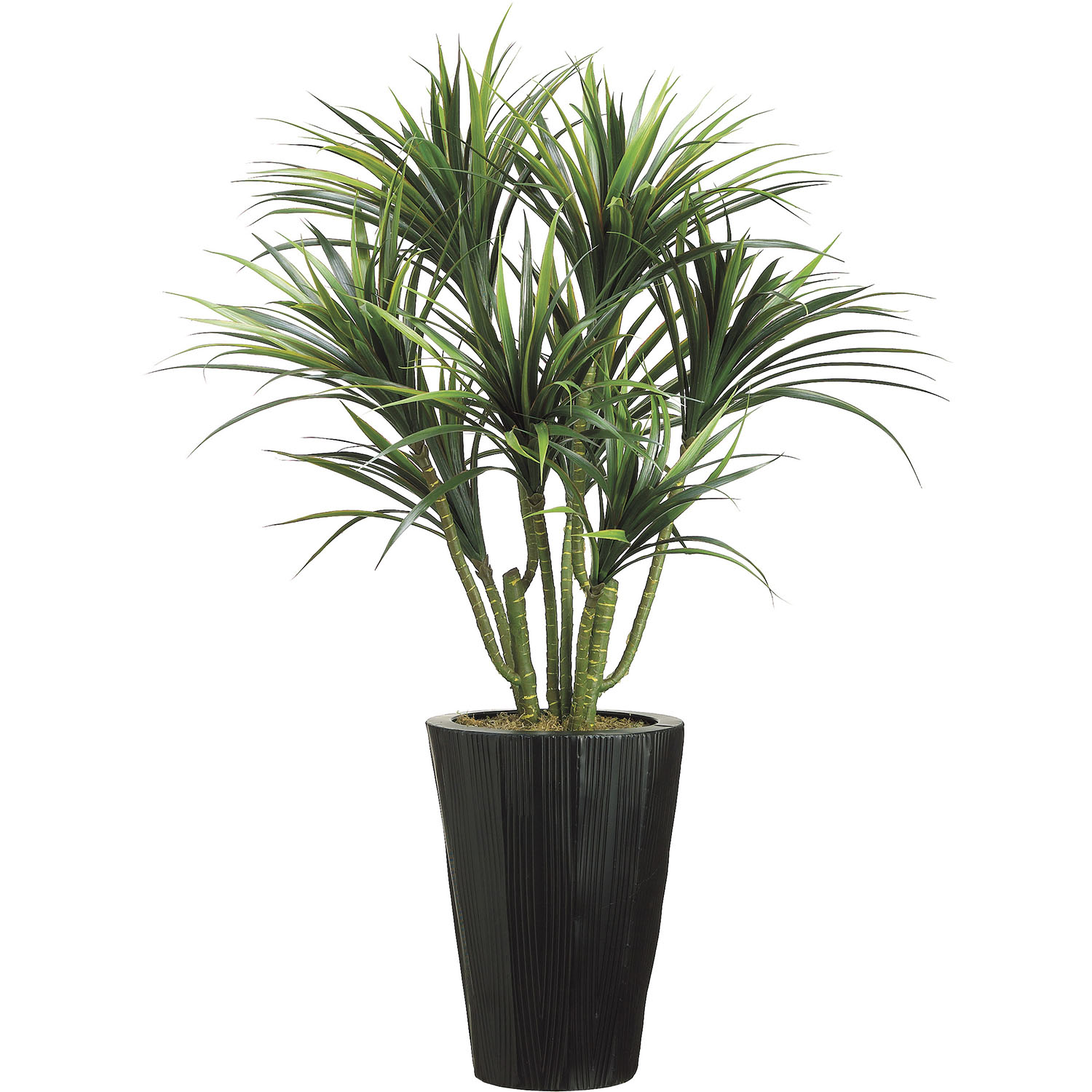 4.5 foot Artificial Dracaena Plant in Metal Container - ALL1517 - Decor 4.5 foot Artificial Dracaena Plant in MetalContain sku ALL1517