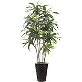 6 foot Exotic Artificial Dracaena Tree in Metal Container