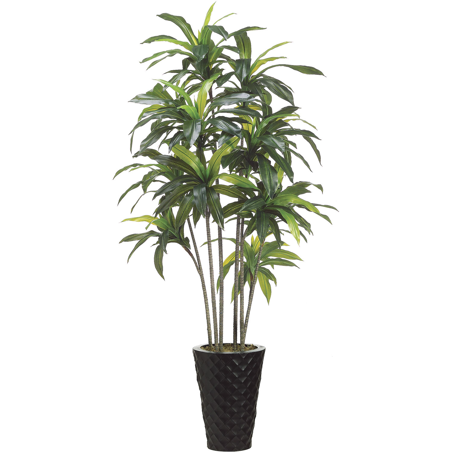 ALL1518 6 foot Exotic Artificial Dracaena Tree in Metal Co sku ALL1518