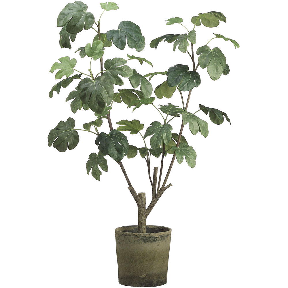 4 foot Artificial Fig Plant in Clay Pot