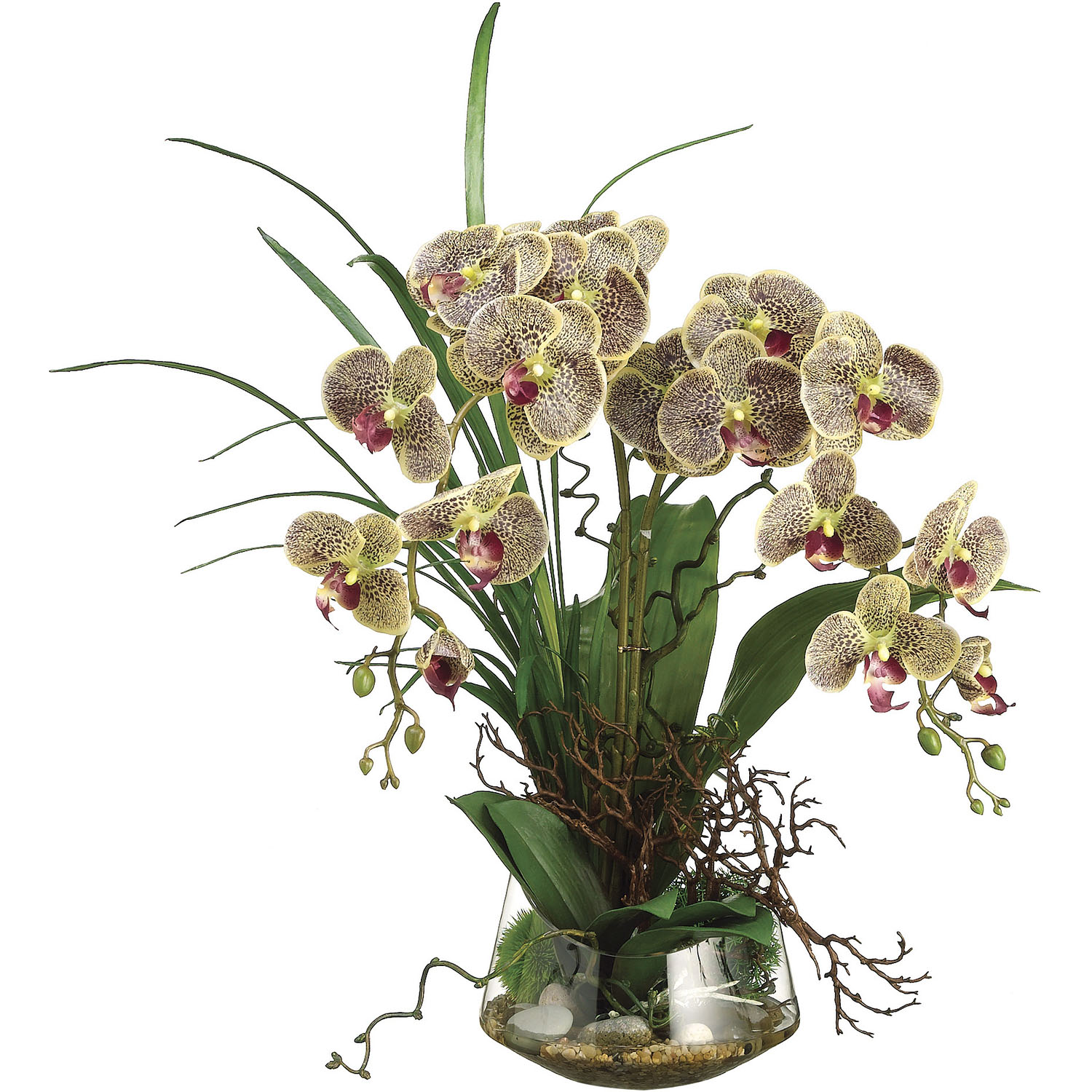 28 Inch Phalaenopsis Orchid And Twig Arrangement In Glass Vase