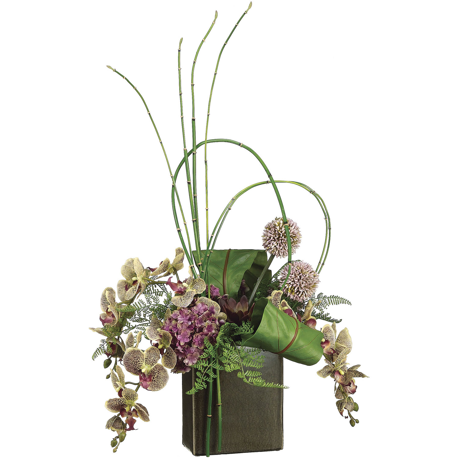 31 In Phalaenopsis Orchid, Bird Nest Fern, & Bamboo In Cube Container