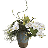 17 inch Phalaenopsis Orchid & Protea Arrangement in Terra Cotta Container