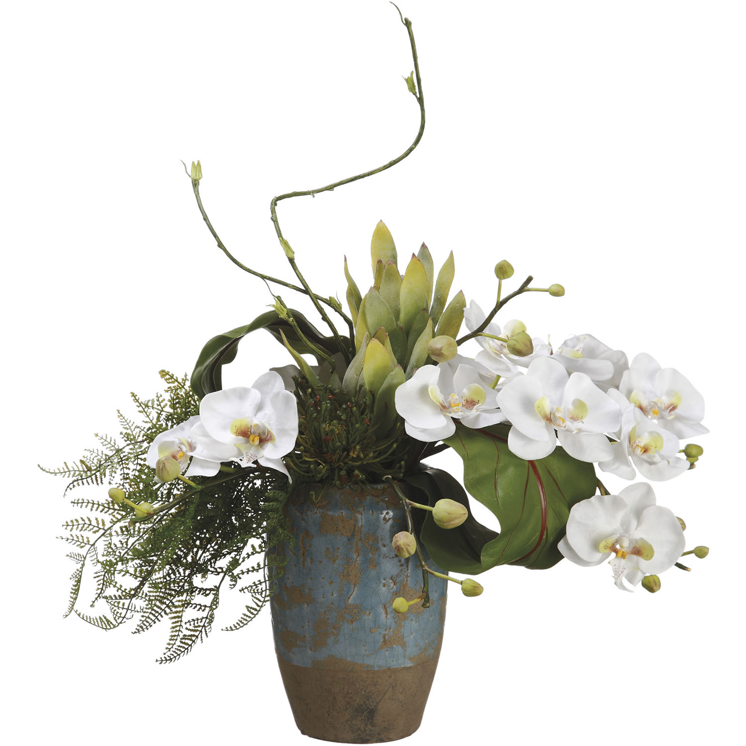 17 Inch Phalaenopsis Orchid & Protea Arrangement In Terra Cotta Container