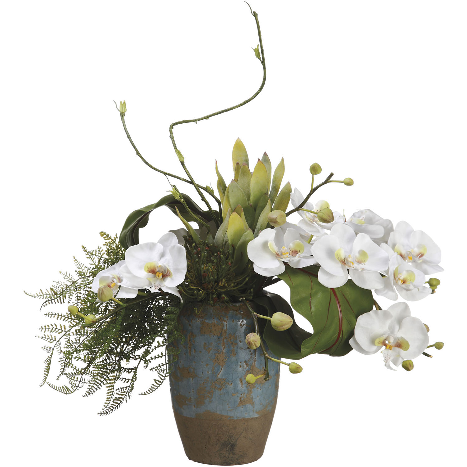 17 inch Phalaenopsis Orchid & Protea Arrangement in Terra Cotta Container