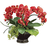 20 inch Phalaenopsis, Moss, & Orchid Leaf Arrangement in Scallop Bowl