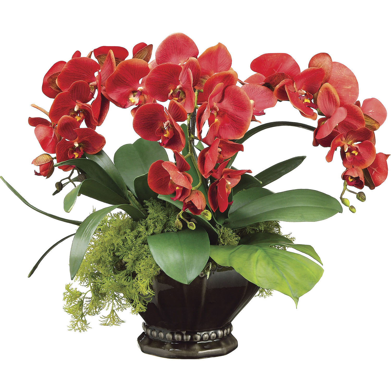 20 Inch Phalaenopsis, Moss, & Orchid Leaf Arrangement In Scallop Bowl