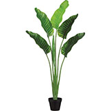 64 inch Outdoor Plastic Bird of Paradise Plant: Limited UV