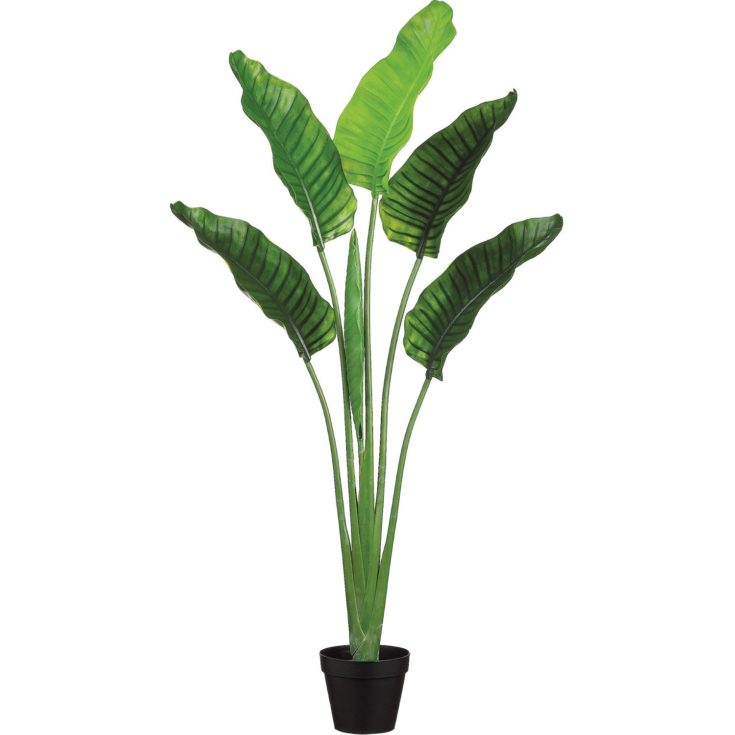 ALL1553 64 inch Outdoor Plastic Bird of Paradise Plant: Li sku ALL1553