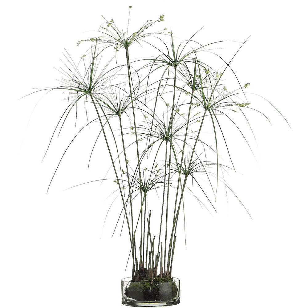 38 inch Artificial Papyrus Grass in Glass Vase