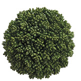 5.5 inch Artificial Succulent Orb (Set of 4)