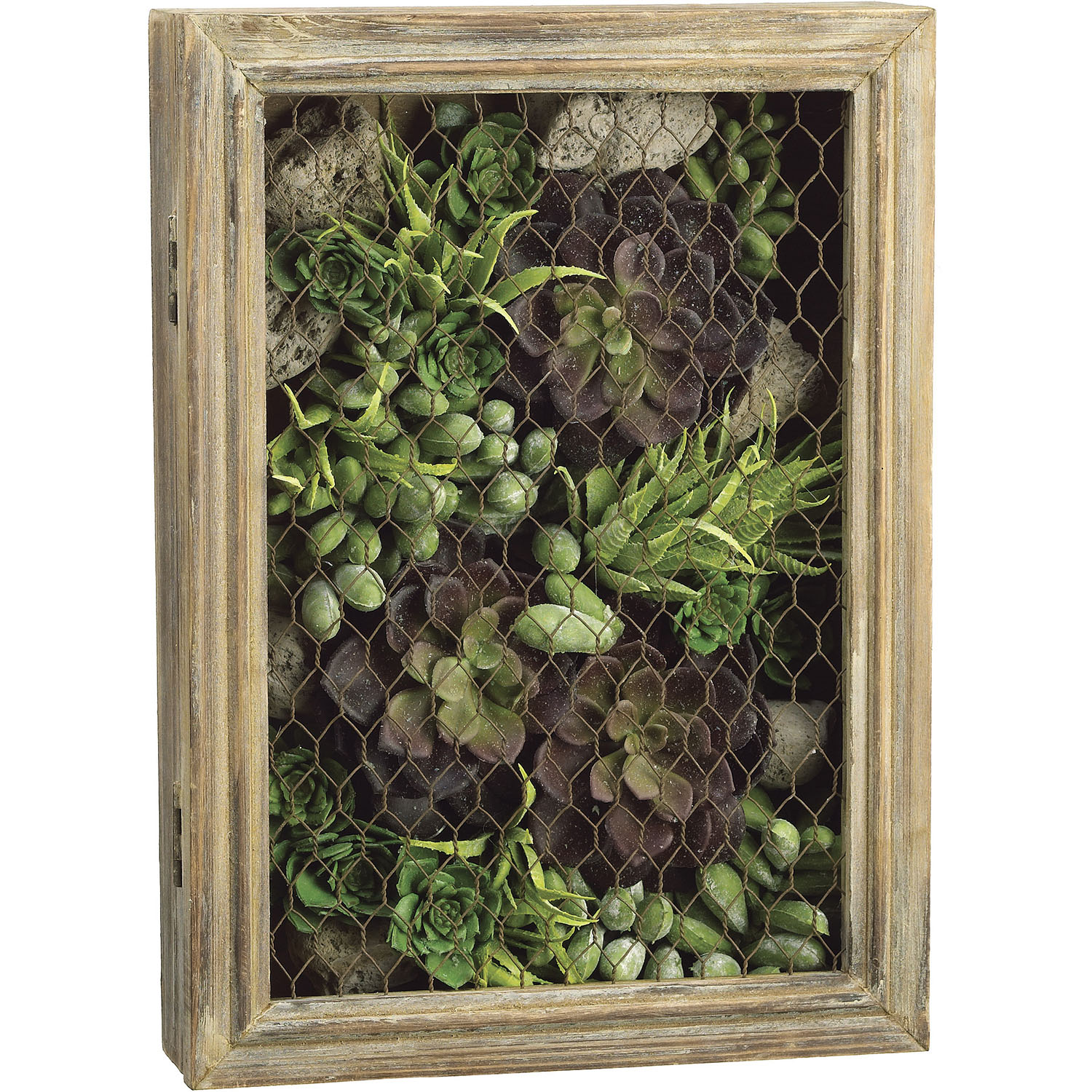 14 Inch Echeveria, Aloe, And Sedum Succulents In Medium Wood Mesh Box