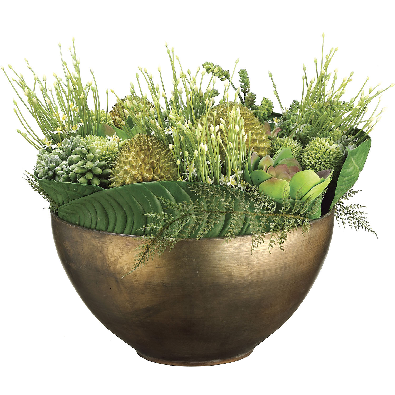 20 in Durian, Allium, Echeveria & Sedum Succulents in Metal Container