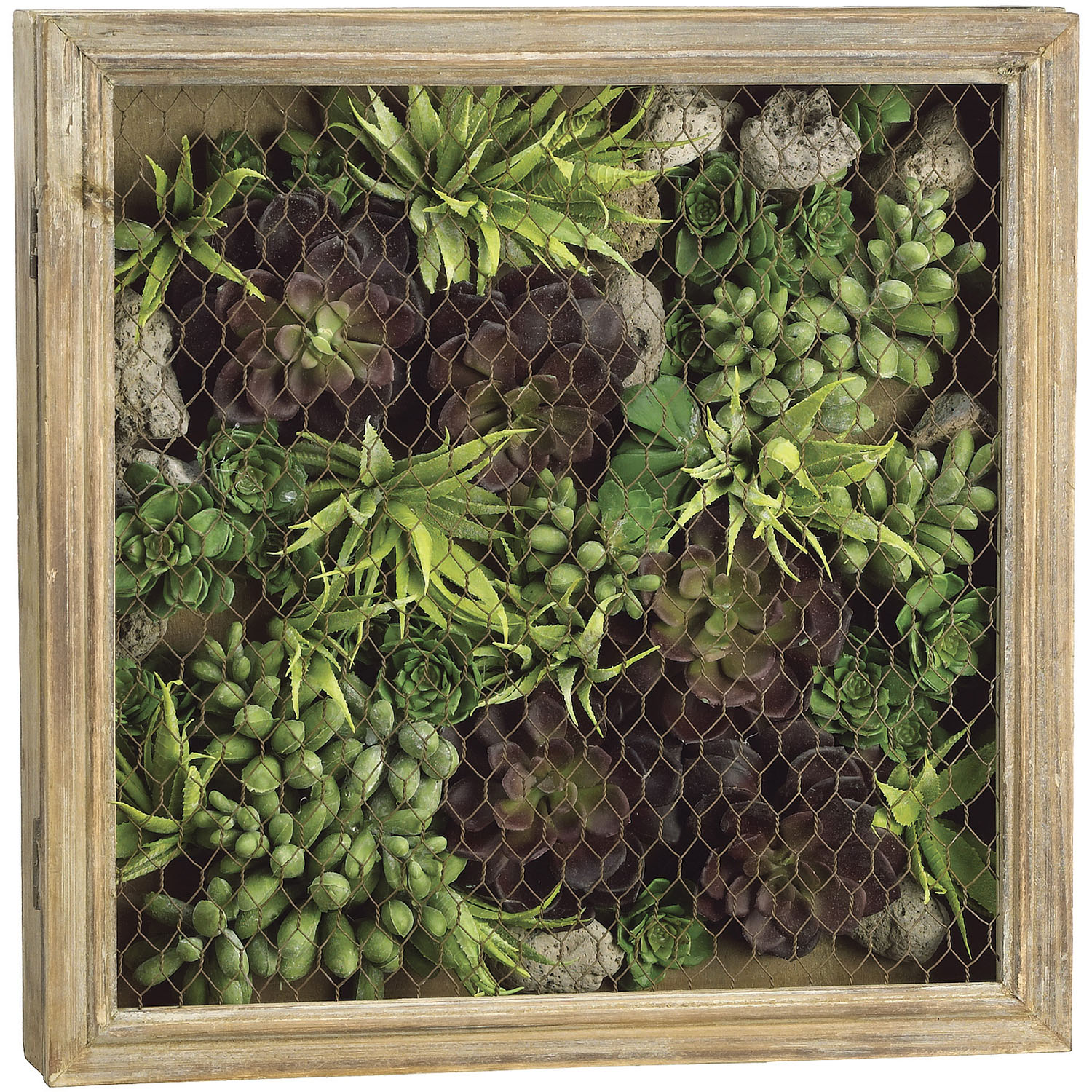 ALL1591 16 inch Echeveria, Aloe, Sedum Arrangement in Squa sku ALL1591
