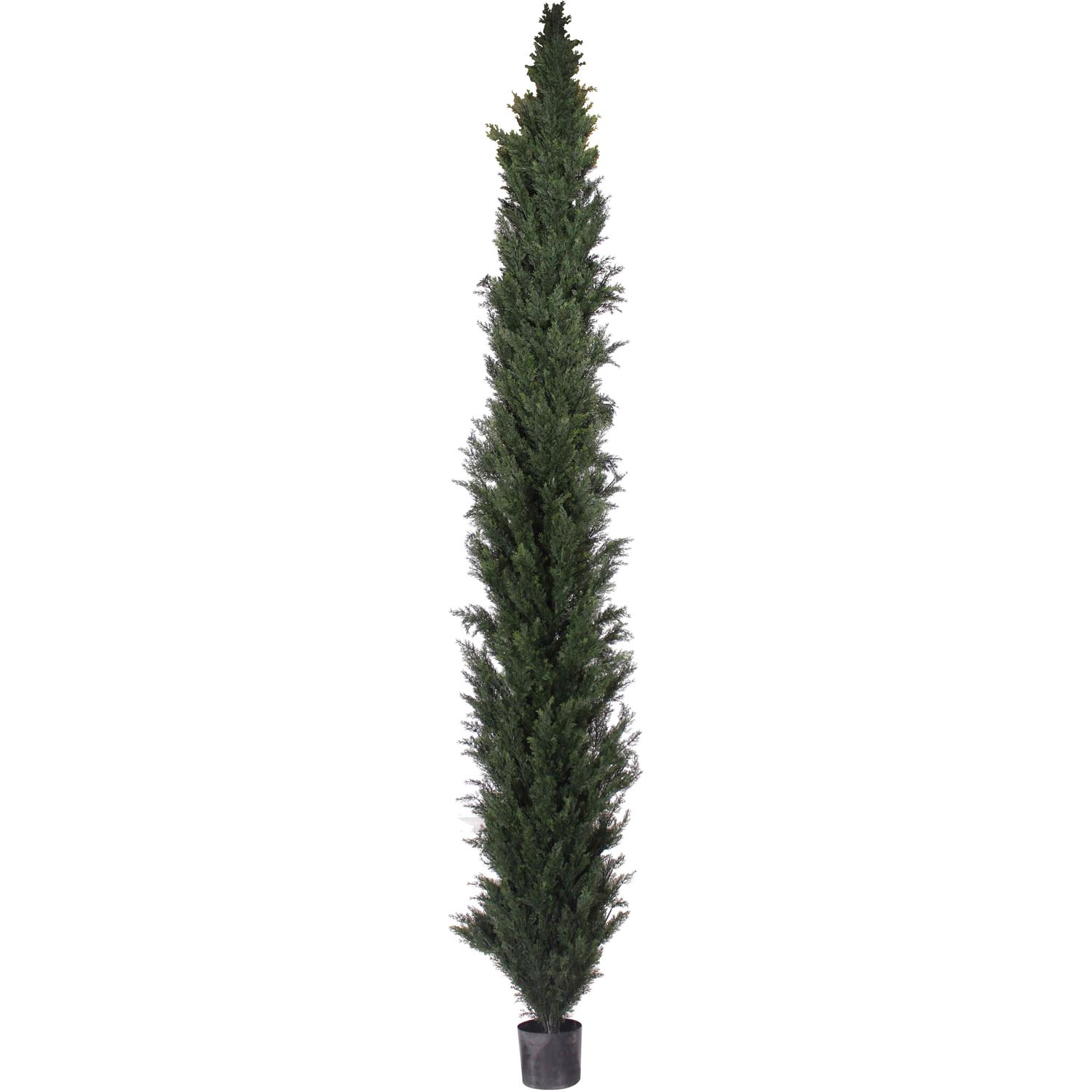 10 foot Slim UV Protected Cedar Pine Tree: Potted