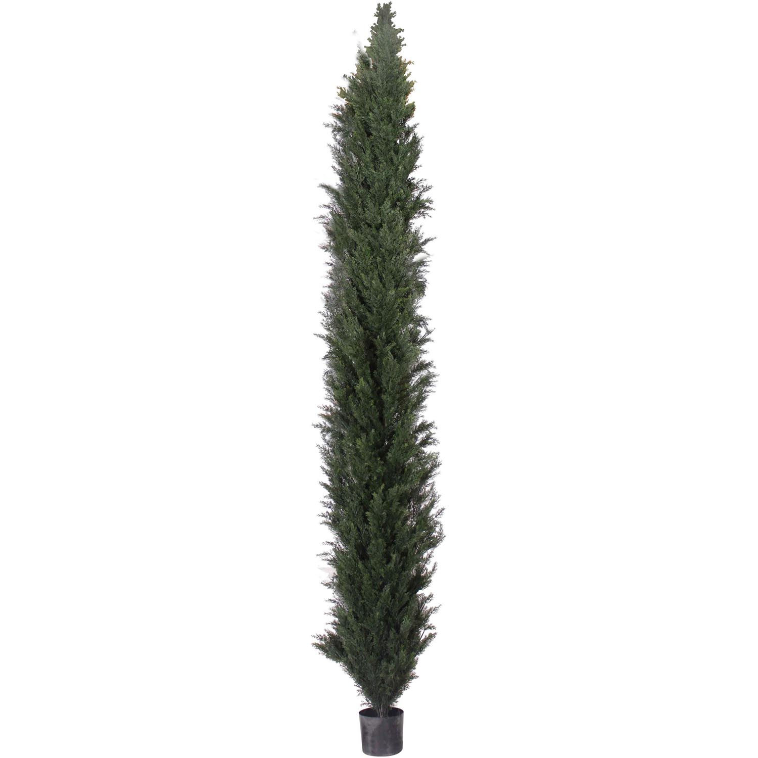 12 Foot Slim Plastic Uv Protected Cedar Pine Tree: Potted