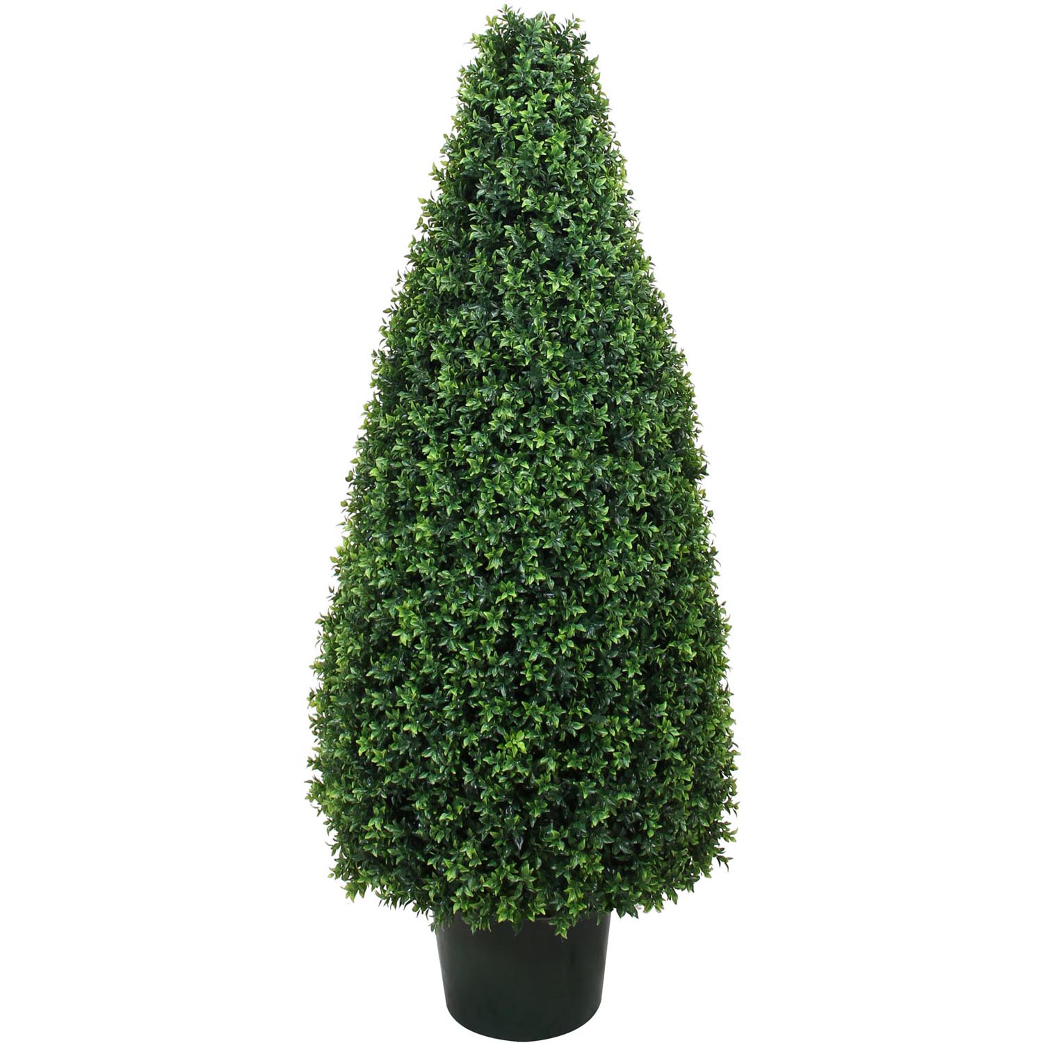 54 inch UV Protected Basil Cone Topiary: Potted