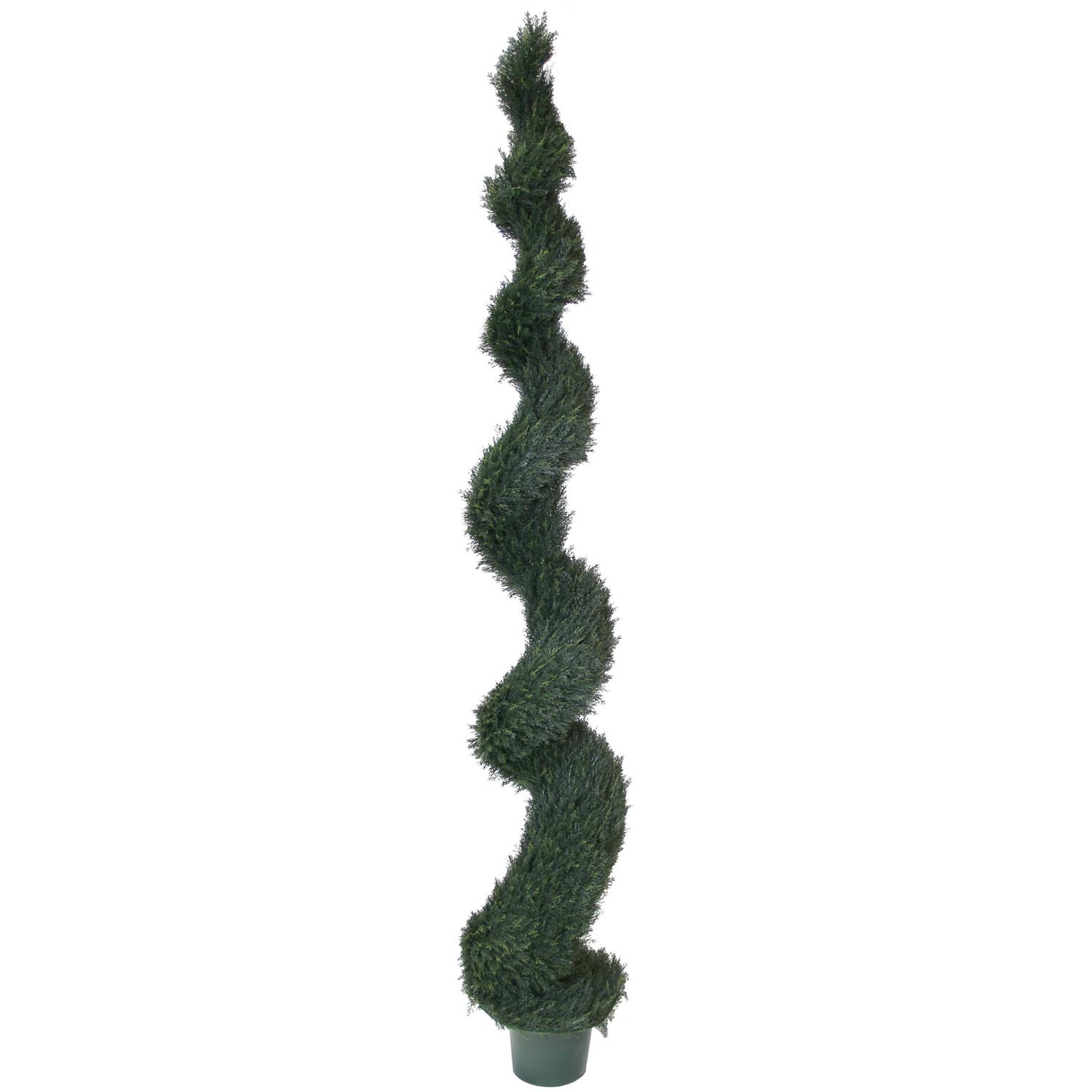 10 foot UV Protected Spiral Pond Cypress Topiary: Potted