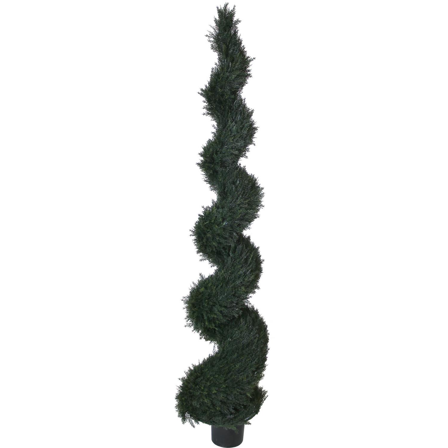 8 Foot Uv Protected Spiral Pond Cypress Topiary: Potted