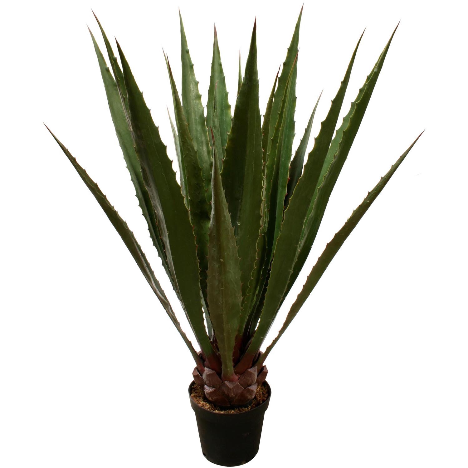 48 Inch Outdoor Potted Giant Agave Plant:: Limited Uv (set Of 2)