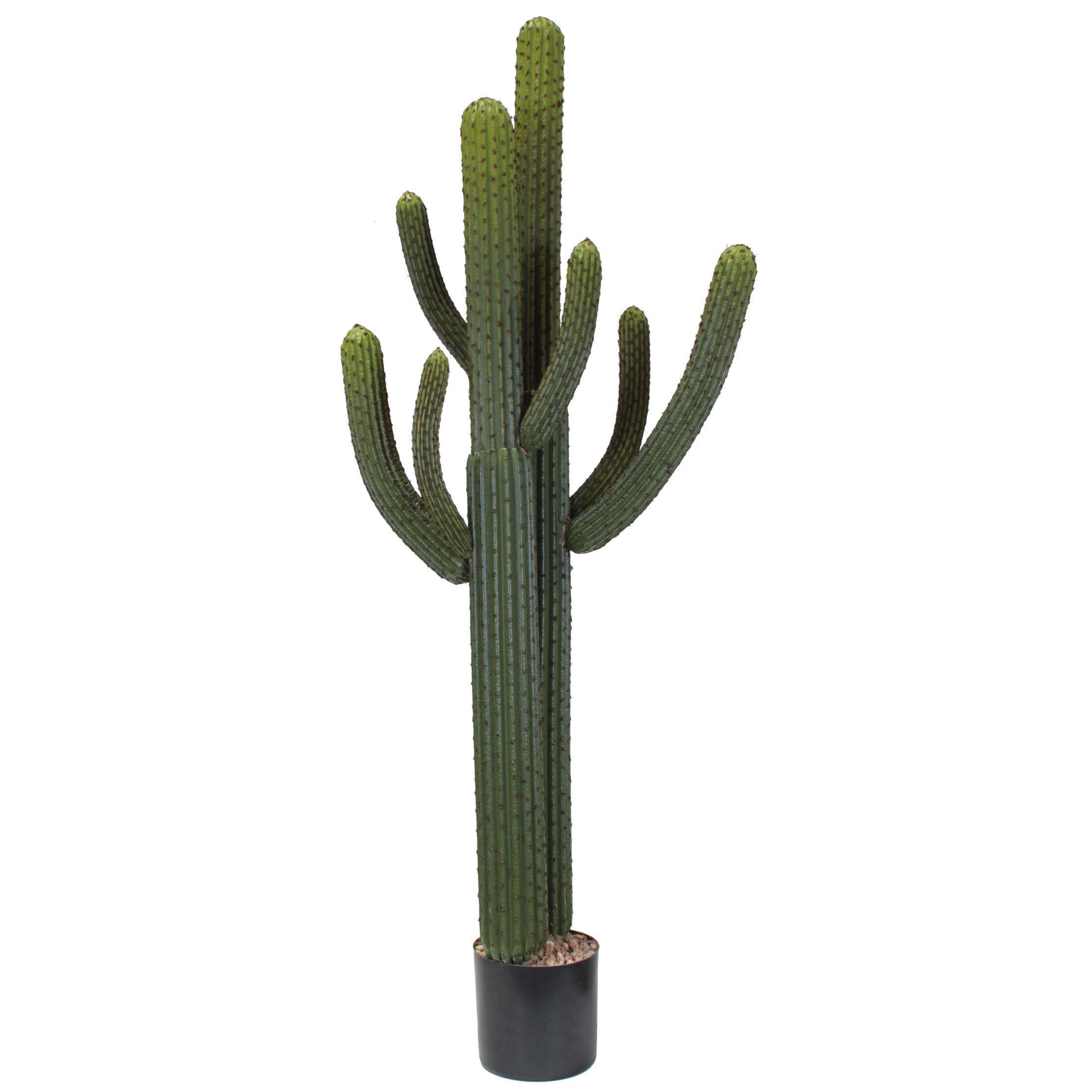 5.5 foot Artificial Whisker Cactus: Potted (Set of 2)