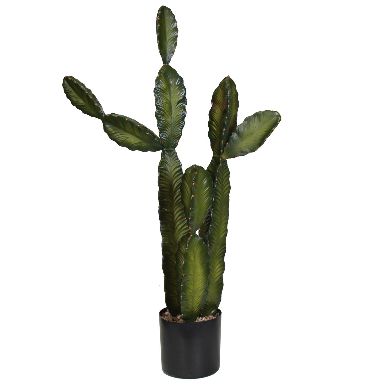 3.5 Foot Column Cactus: Potted (set Of 2)