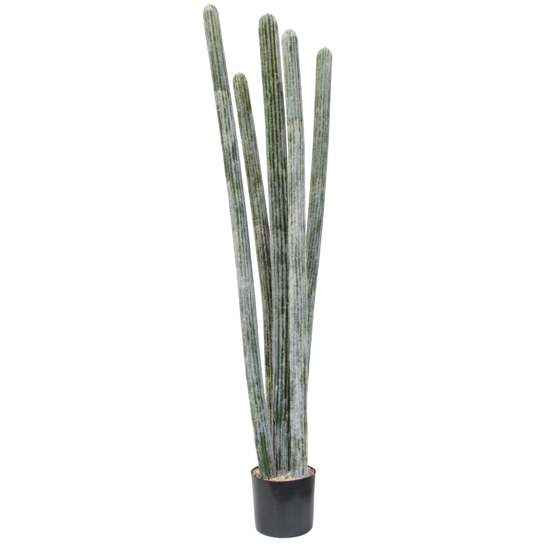 5.5 Foot Artificial Flocked Columnar Cactus: Potted (set Of 2)
