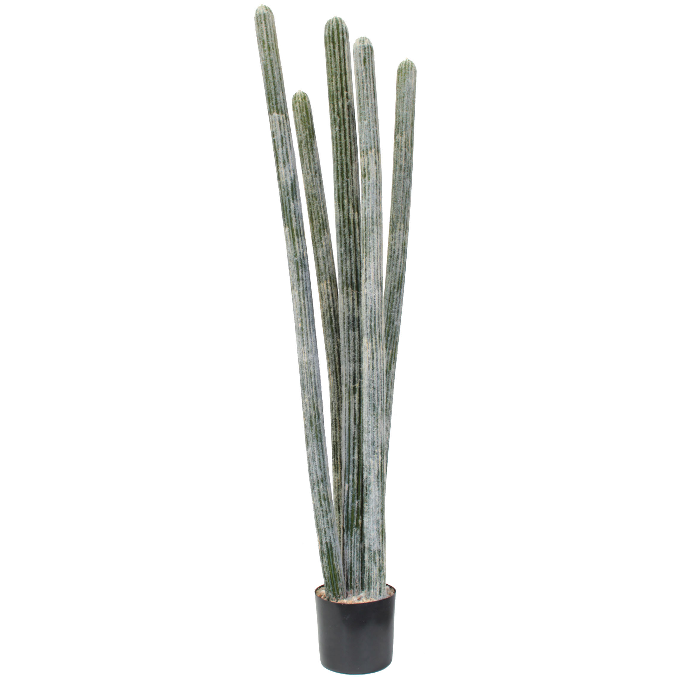 5.5 foot Artificial Flocked Columnar Cactus: Potted (Set of 2)