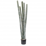 5.5 foot Artificial Flocked Columnar Cactus: Potted (Set of 2)