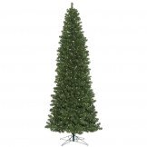 8.5 foot Oregon Fir Slim Tree: Clear LEDs