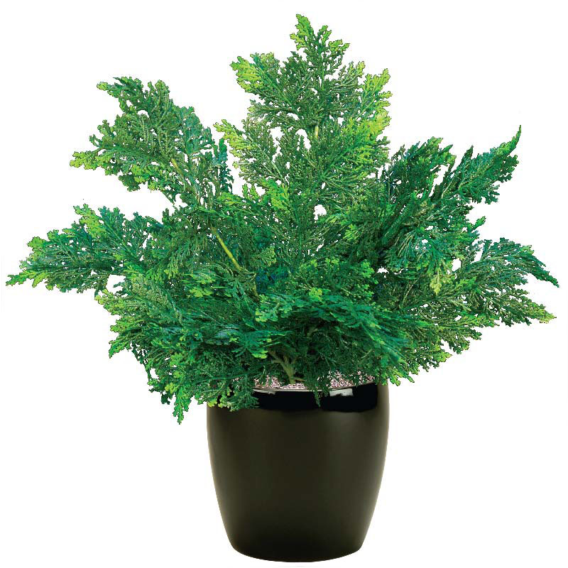 18 inch Artificial Outdoor Cedar Bush Potted CEDM18CS
