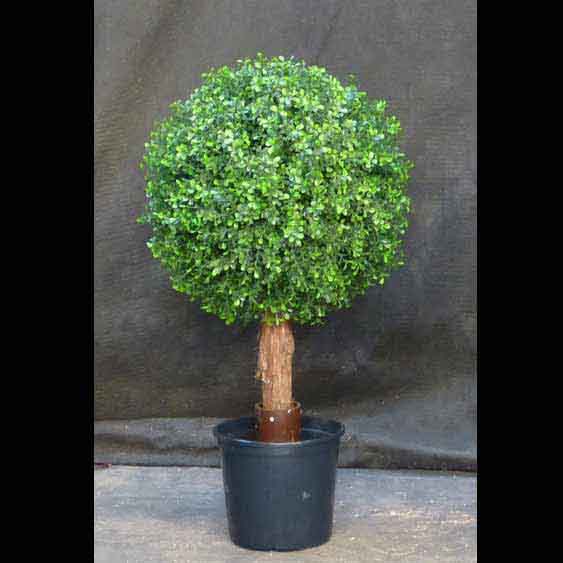 Outdoor Artificial Single Boxwood Ball Topiary with Natural Trunk : Multiple Sizes