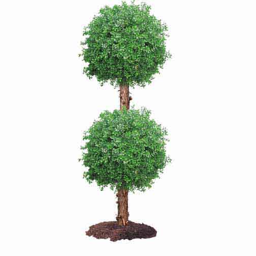 Tall Outdoor Artificial Double Boxwood Ball Topiary W/ Natural Trunk : Multiple Sizes