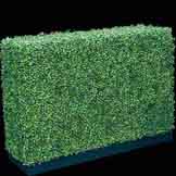 Outdoor Artificial Boxwood Hedge on Plywood Frame
