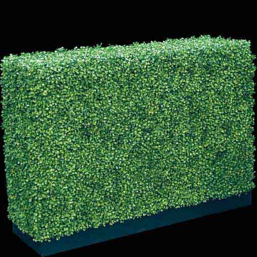 Outdoor Artificial Boxwood Hedge On Plywood Frame