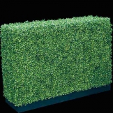 Outdoor Artificial Boxwood Hedge on Plywood Frame