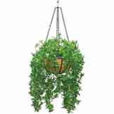 Artificial Outdoor English Ivy in Decorative Hanging Basket with Chain