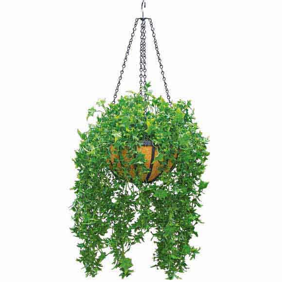 Artificial Outdoor English Ivy in Decorative Hanging Basket with Chain - CSI1039 - Outdoor Plants and Trees Artificial Outdoor English Ivy in Decorative Hangi sku CSI1039